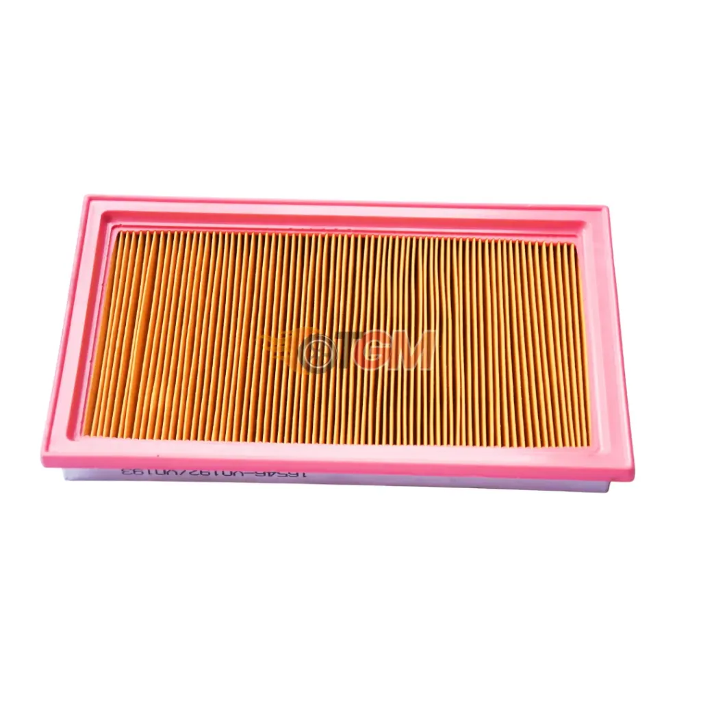 Air Filter 16546-V0100